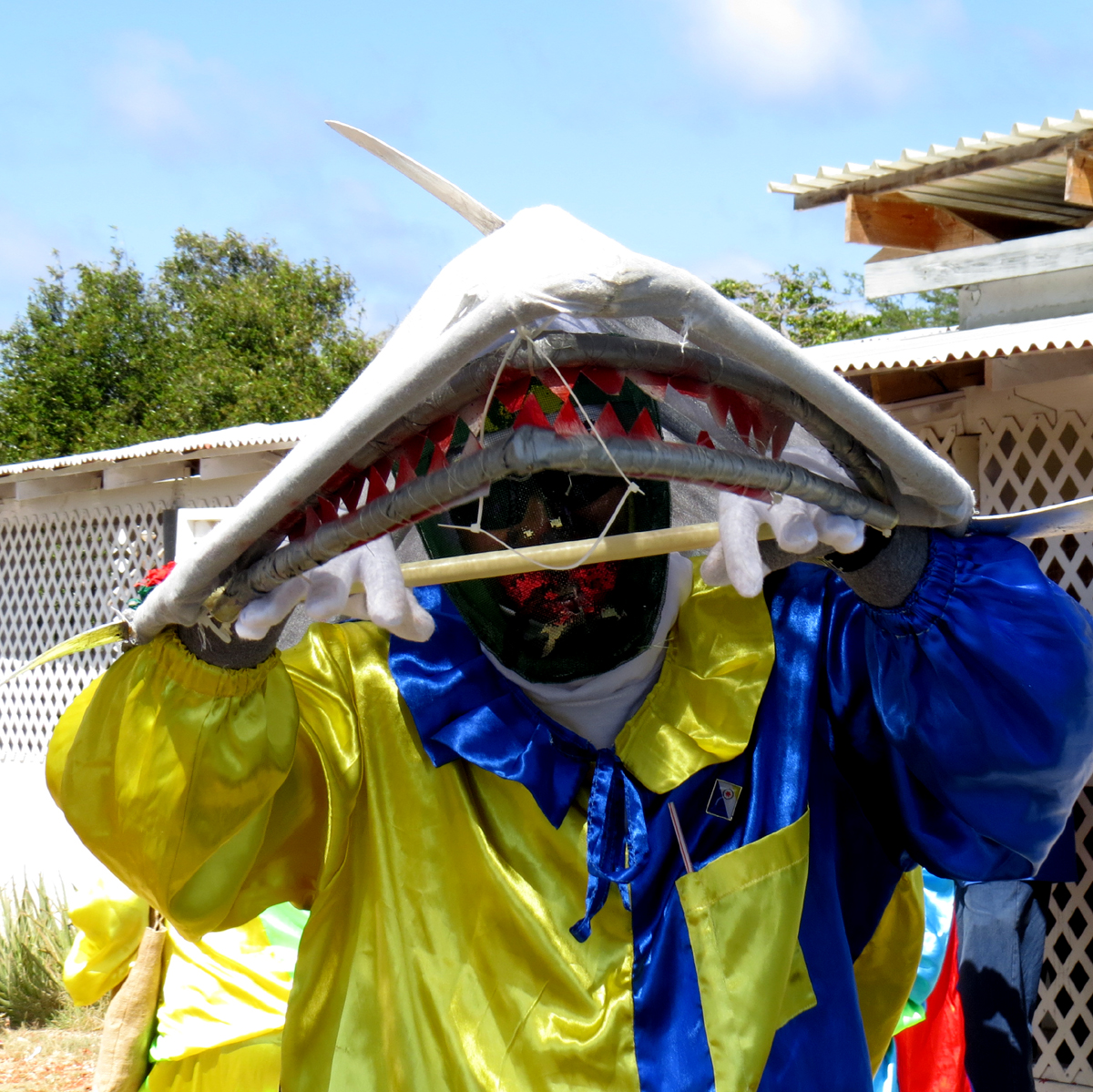 Shark - Masquerade on Bonaire