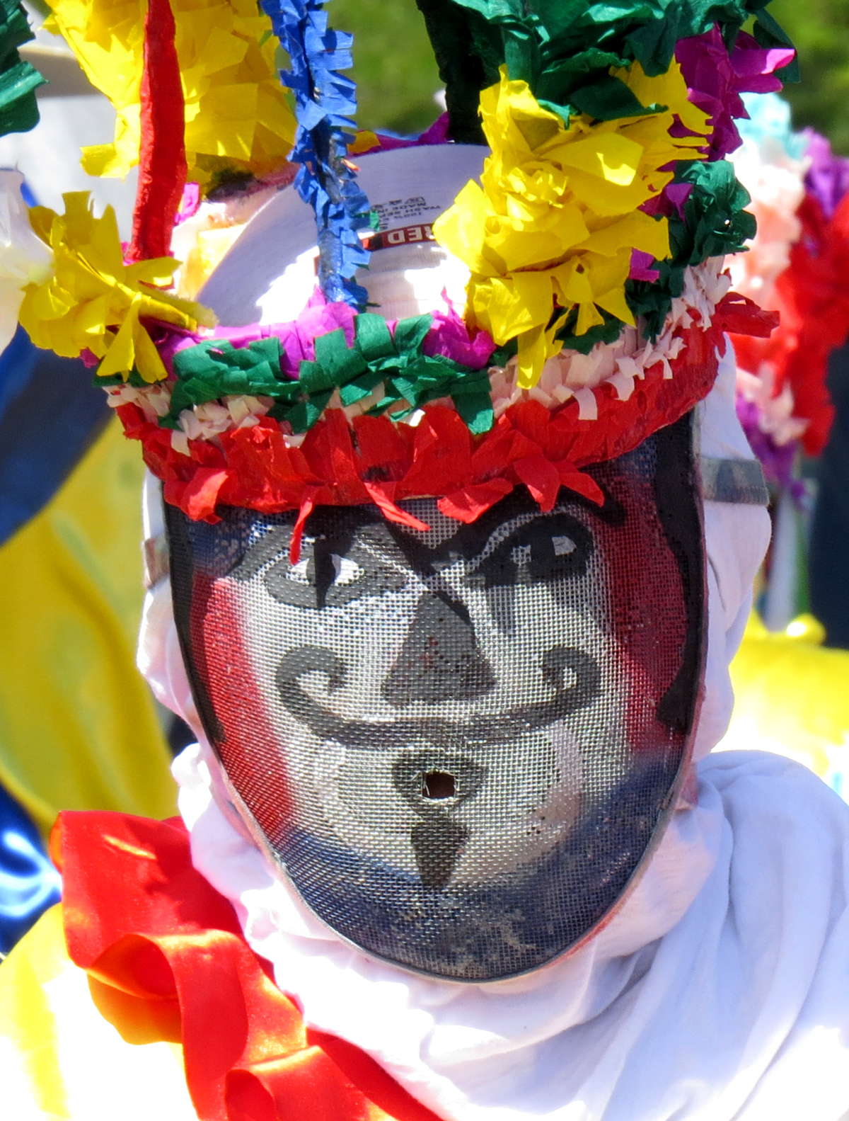 Masquerader on Bonaire