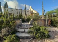 Jato Baco – Monuments of Bonaire