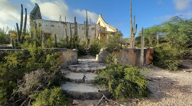 Jato Baco – Monuments of Bonaire